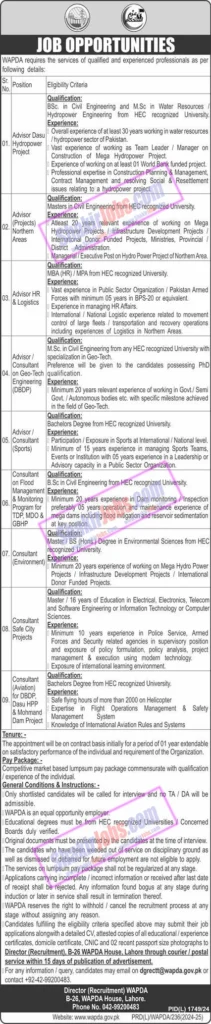 WAPDA Career Opportunities 2025